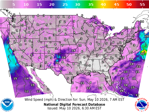 Surface Winds